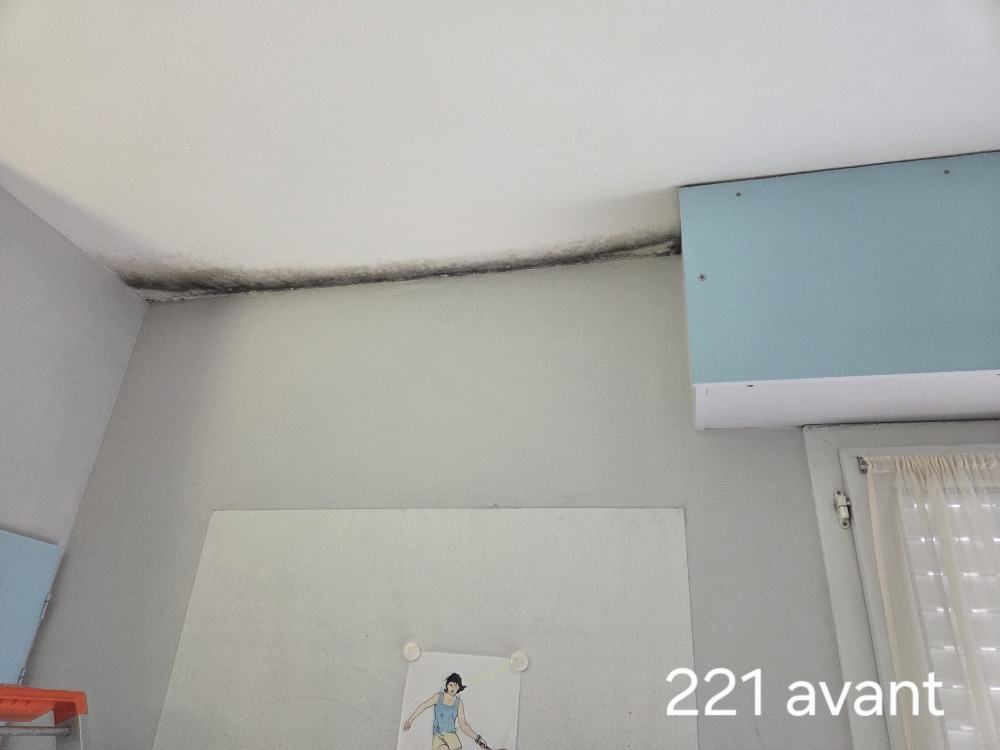 Traitement moisissure plafond avant intervention